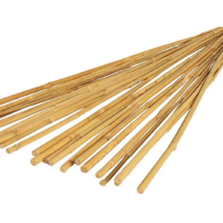 Bambuko lazda, skersmuo 0.8 - 1cm, ilgis 150 cm