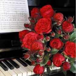 copy of Rožė - Rosa PIANO ® Tantau® Nostalgic Roses®  nuo balandžio pab. pateikiama vazone