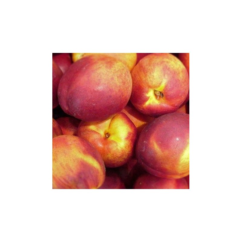 Nektarinas - Prunus persica nucipersica REDGOLD