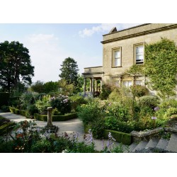 Rožė - Rosa KIFTSGATE ®