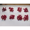 Skėtinis žilakrūmis - Elaeagnus umbellata SWEET N TART