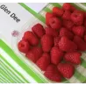 Raspberry - Rubus idaeus GLEN DEE®