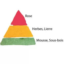 Rožė - Rosa AMELIE NOTHOMB ®