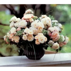 Rožė - Rosa BOUQUET PARFAIT