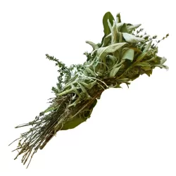 Egzotiniai augalai internetu