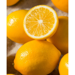 Citrus meyeri Meyer Lemon LISA