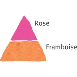 Rožė - Rosa HENRI MATISSE ®