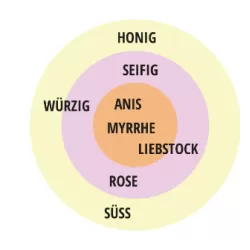 Rožė - Rosa MADAME ANISETTE ®