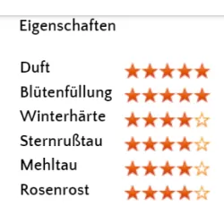 Rosa MADAME ANISETTE ®