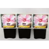 Hibiscus KOPPER KING ®