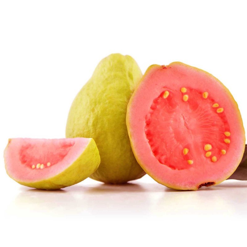Guava - Psidium guajave