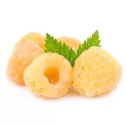 Avietė - Rubus idaeaus TWOTIMER SUGANA YELLOW