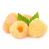 Raspberry - Rubus idaeus TWOTIMER SUGANA YELLOW