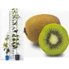 Kiwi - Actinidia deliciosa BRUNO (FEMALE)