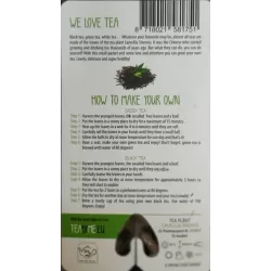 Kininis (tikrasis) arbatmedis - Camellia sinensis