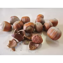 Užsisakyk augalus pavasariui jau dabar