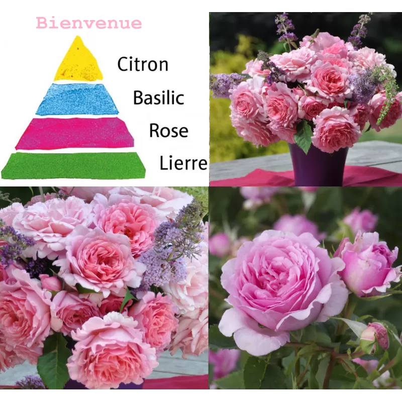 Užsisakyk augalus pavasariui jau dabar