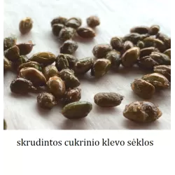 Cukrinis klevas - Acer saccharum