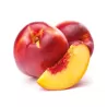 Nectarine - Prunus persica nucipersica HARKO