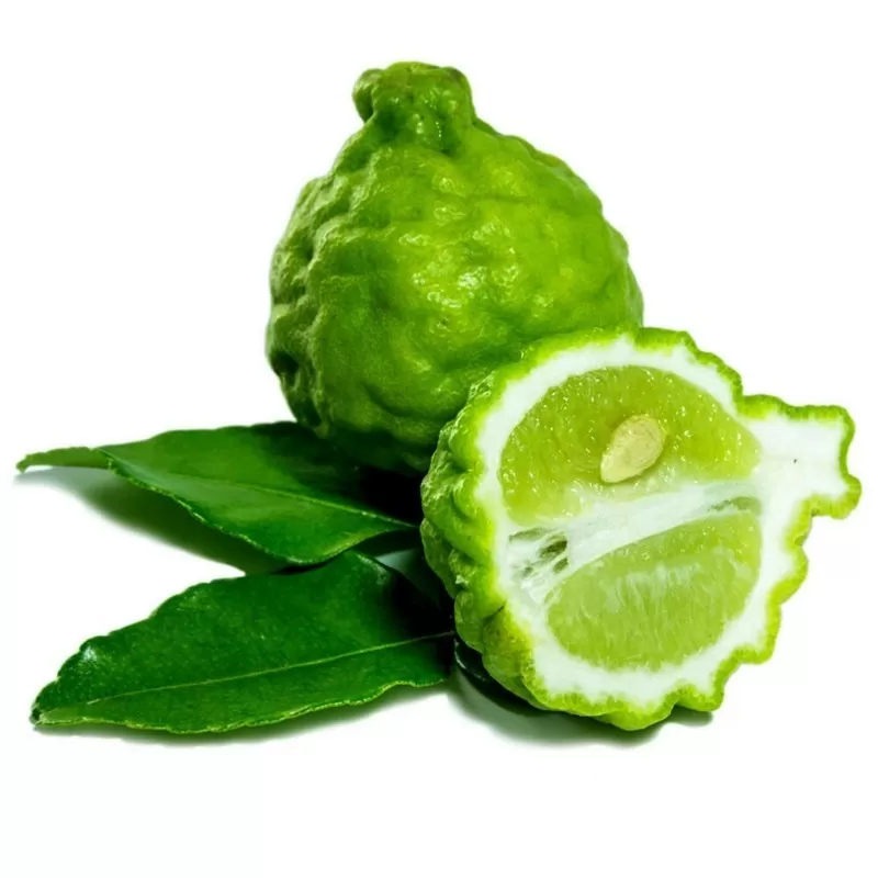 Thai lime - Citrus hystrix