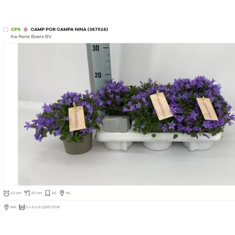 Garden plants/Trees/Flowers/ web-shop