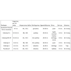 Kriaušių Alexander Lucas pristatymas į namus