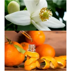 Citrus aurantium amaro C4 30 Stam