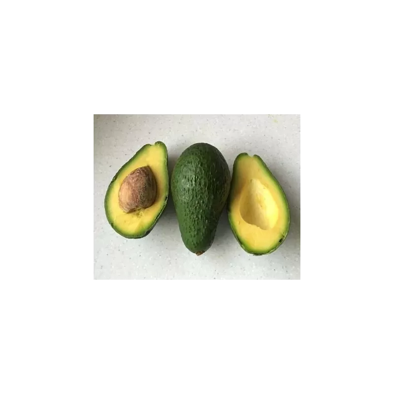 E-medelynas internete: vaismedžiai ir vaiskrūmiai