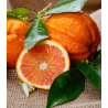 Apelsinmedis - Citrus sinensis CORRUGATO
