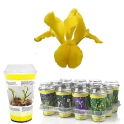 Vandens ir pakrančių augalai