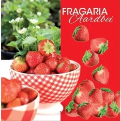 Braškė - Fragaria ananassa BELTRAN