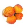 Apricot - Prunus armeniaca RAUDONSKRUOSTIS / RED CHEEKED
