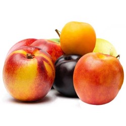 Savidulkių kaulavaisių rinkinys - persikas, abrikosas ir slyva