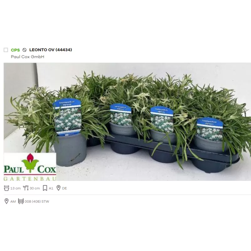 Garden plants/Trees/Flowers/ web-shop