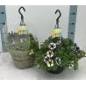 Petunija - Petunia Peppy LAVENDER