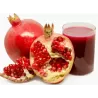 Punica granatum RED HORSE