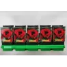 Aguona - Papaver orientale TURKENLOUIS