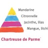 Rožė - Rosa CHARTREUSE DE PARME ®