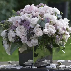 Rožė - Rosa CONSTANZE MOZART ®