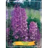 Pentinius - Delphinium ASTOLAT