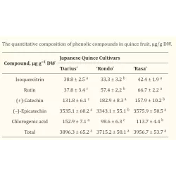 Svarainis - Chaenomeles japonica RASA