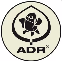 Rožė - Rosa ANGELA ®