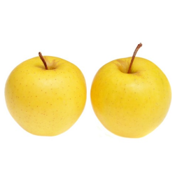 Apple tree - Malus domestica KOSZTELE