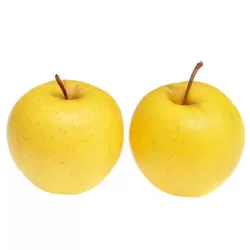 Naminė obelis - Malus domestica KOSZTELE
