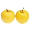 Apple tree - Malus domestica KOSZTELE