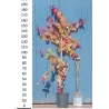 Cercis canadensis ETERNAL FLAME