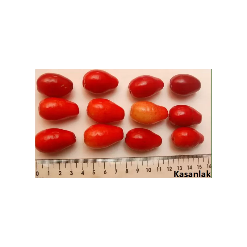 Medelių sodininukai internetu