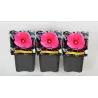 Hibiscus Carousel ® Pink Passion