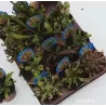 Carnivorous plants, 5 different