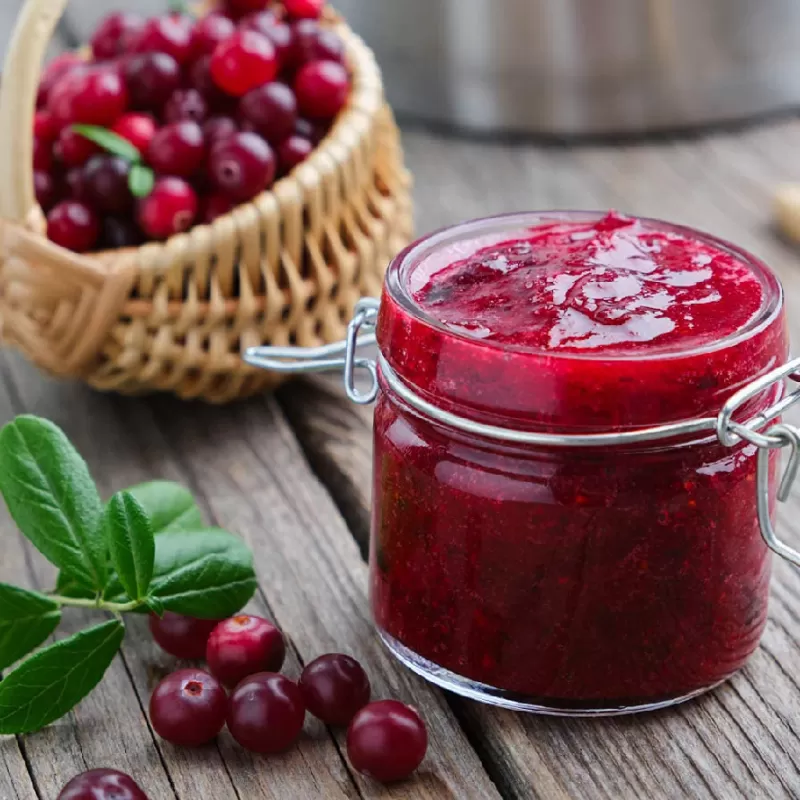 Cranberry - Vaccinium macrocarpon PILGRIM